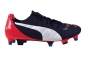 Preview: Puma Evo Power 2.2 Mixed SG peacoat/white/plasma