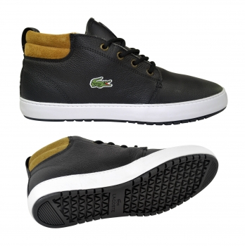 Lacoste Ampthill Terra 2 Farben