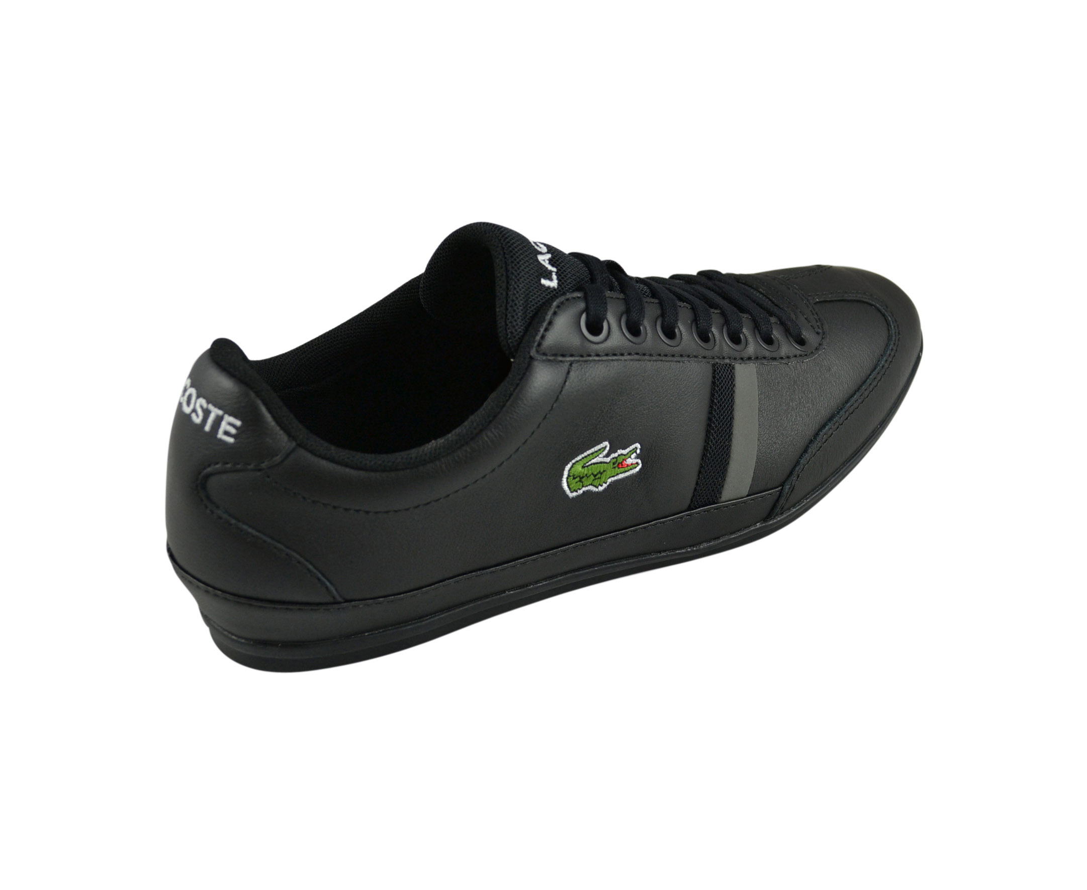 Lacoste misano sport shop 116